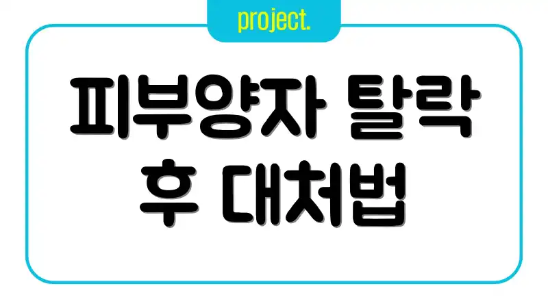 피부양자 탈락 후 대처법