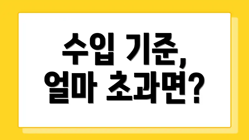 수입 기준, 얼마 초과면?