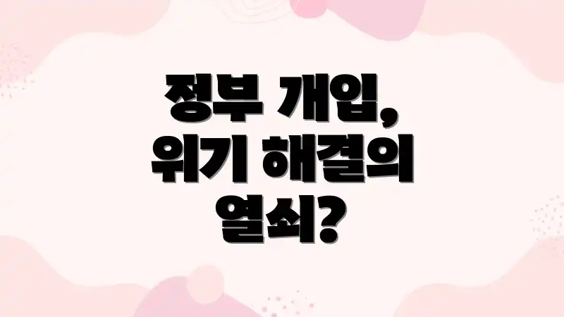 정부 개입, 위기 해결의 열쇠?
