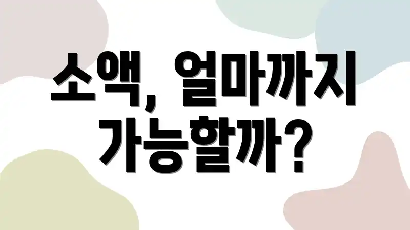 소액, 얼마까지 가능할까?