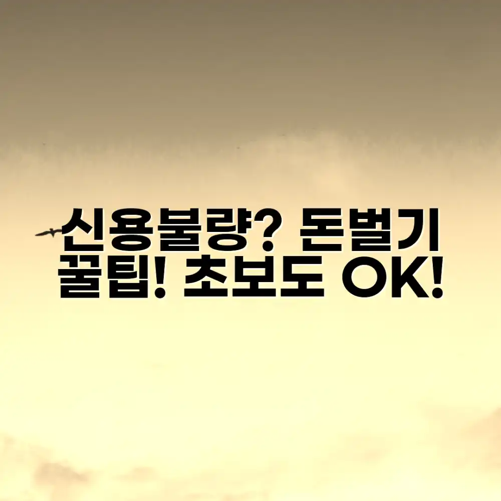 신용불량? 나는 상관없어! 초보도 알기 쉬운 재테크